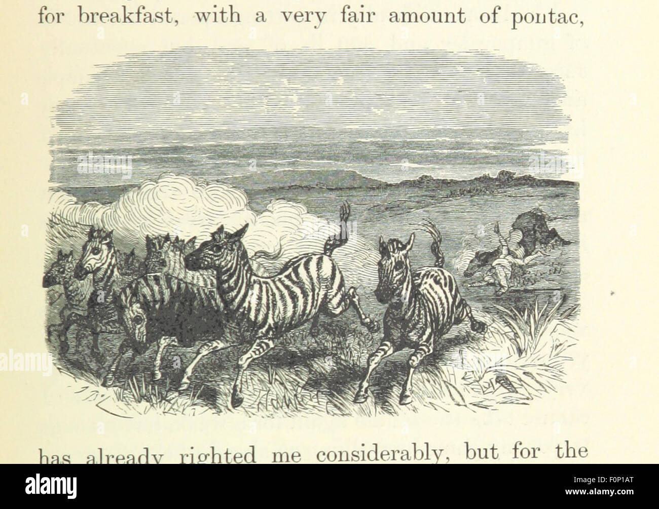 Image taken from page 391 of '[African Hunting from Natal to the Zambesi including Lake Ngami, the Kalahari Desert, &c. from 1852 to 1860 ... With illustrations [including a portrait] by James Wolf and J. B. Zwecker.]' Image taken from page 391 of '[African Hunting from Natal Stock Photo