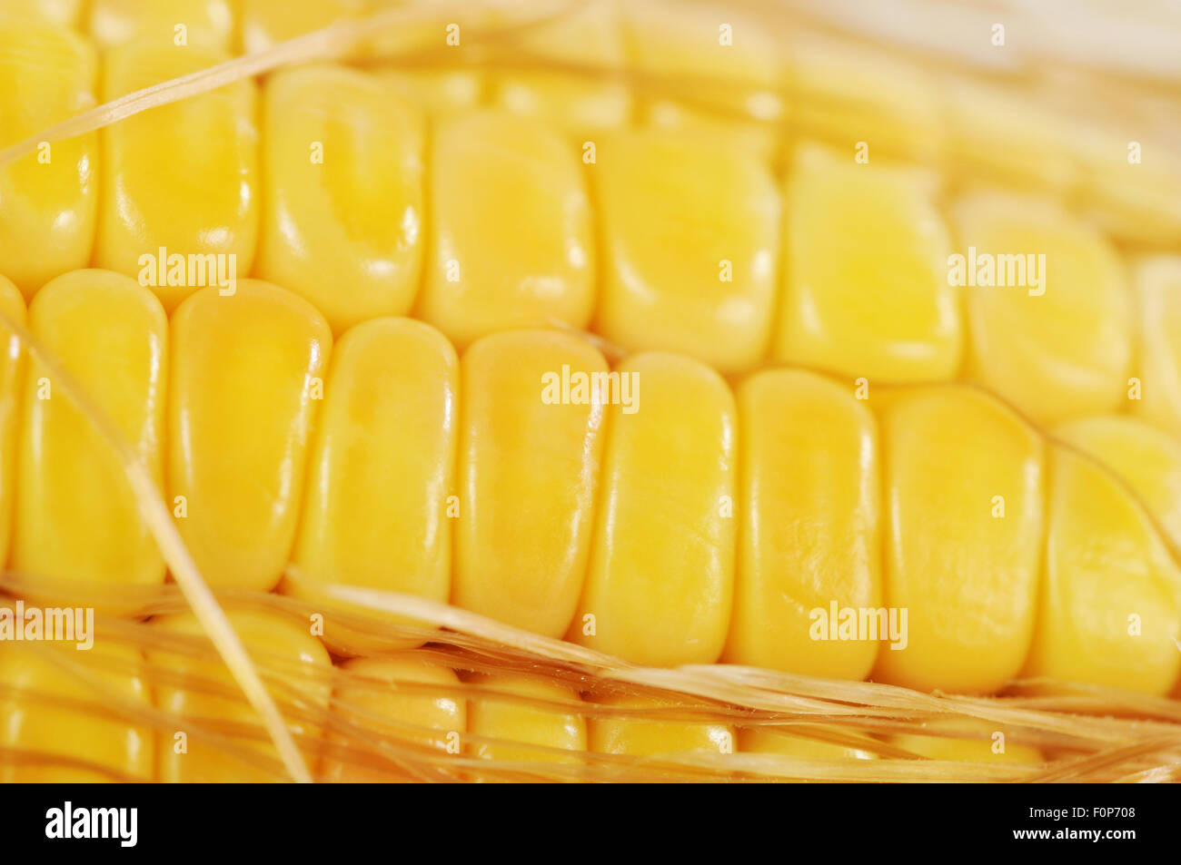 Macro shot of yellow corn cob Stock Photo