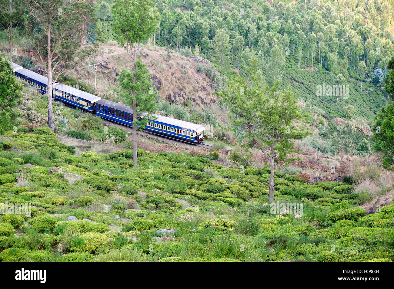 The image was shot in Coonoor-India Stock Photo
