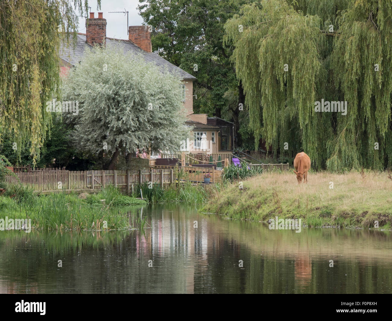 Country hideaway: houses nestling amongst trees in a sleepy English rural setting. Stock Photo