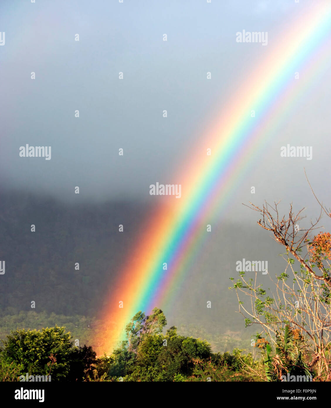 Beautiful rainbow over a rain forest mountain Stock Photo