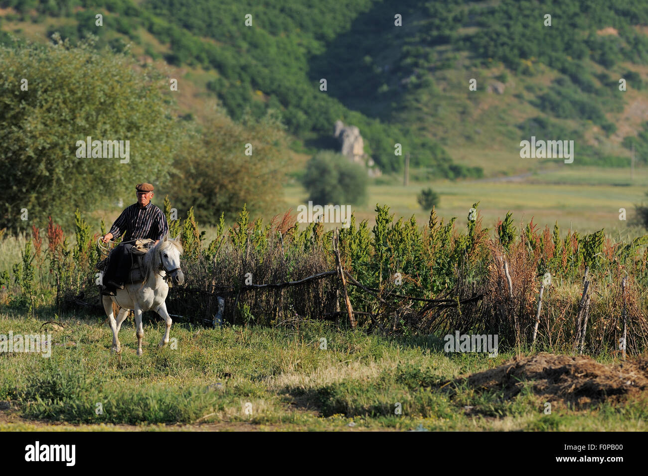Albanian cowboy riding horse, Lake Prespa National Park, Albania, June 2009 Stock Photo