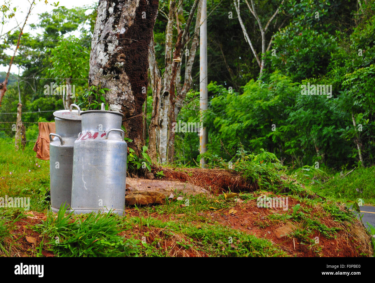 Two old milk containers by the side of a country road waiting to be pick up Stock Photo