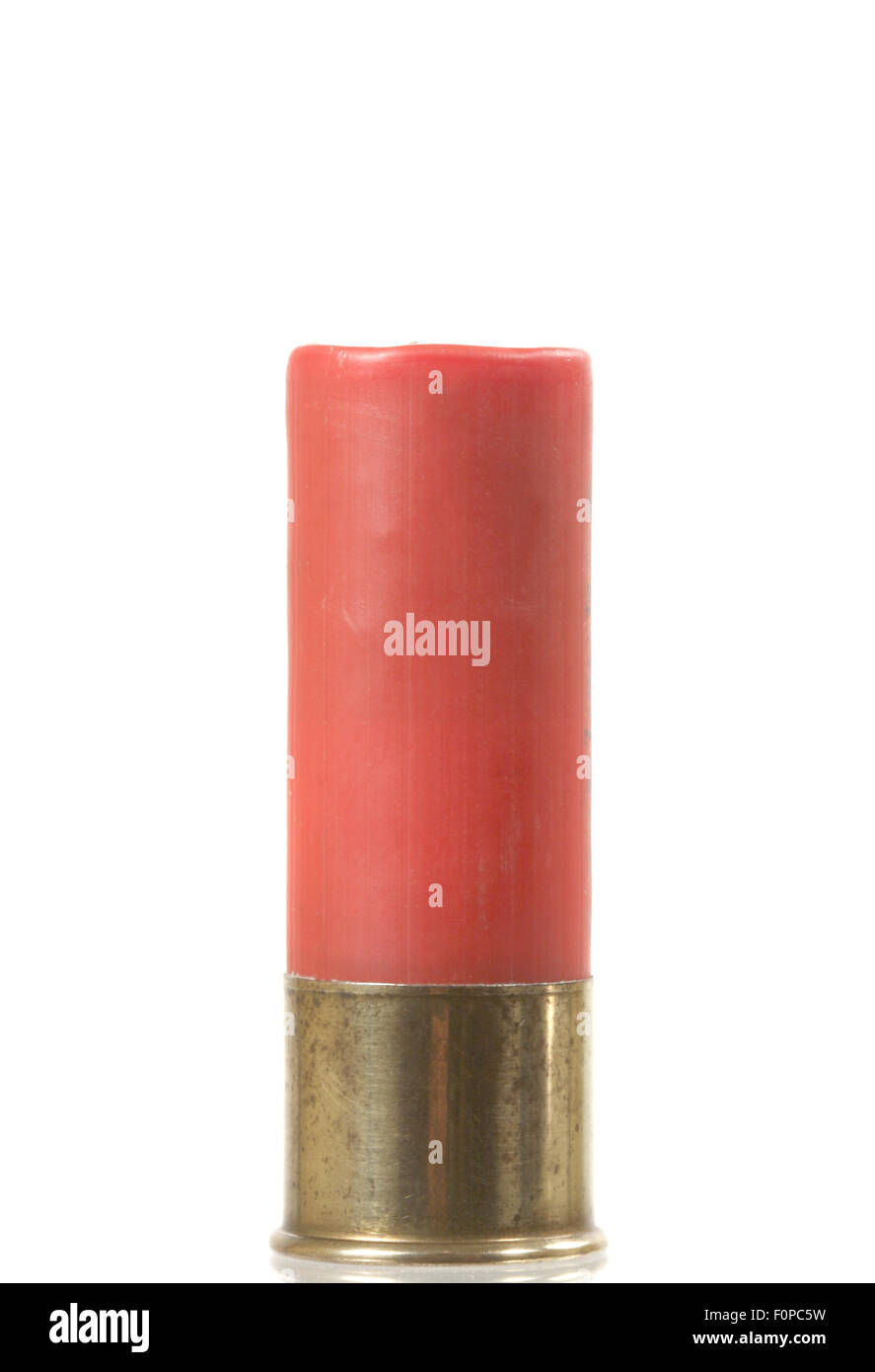 Single shotgun shell isolated on white Stock Photo