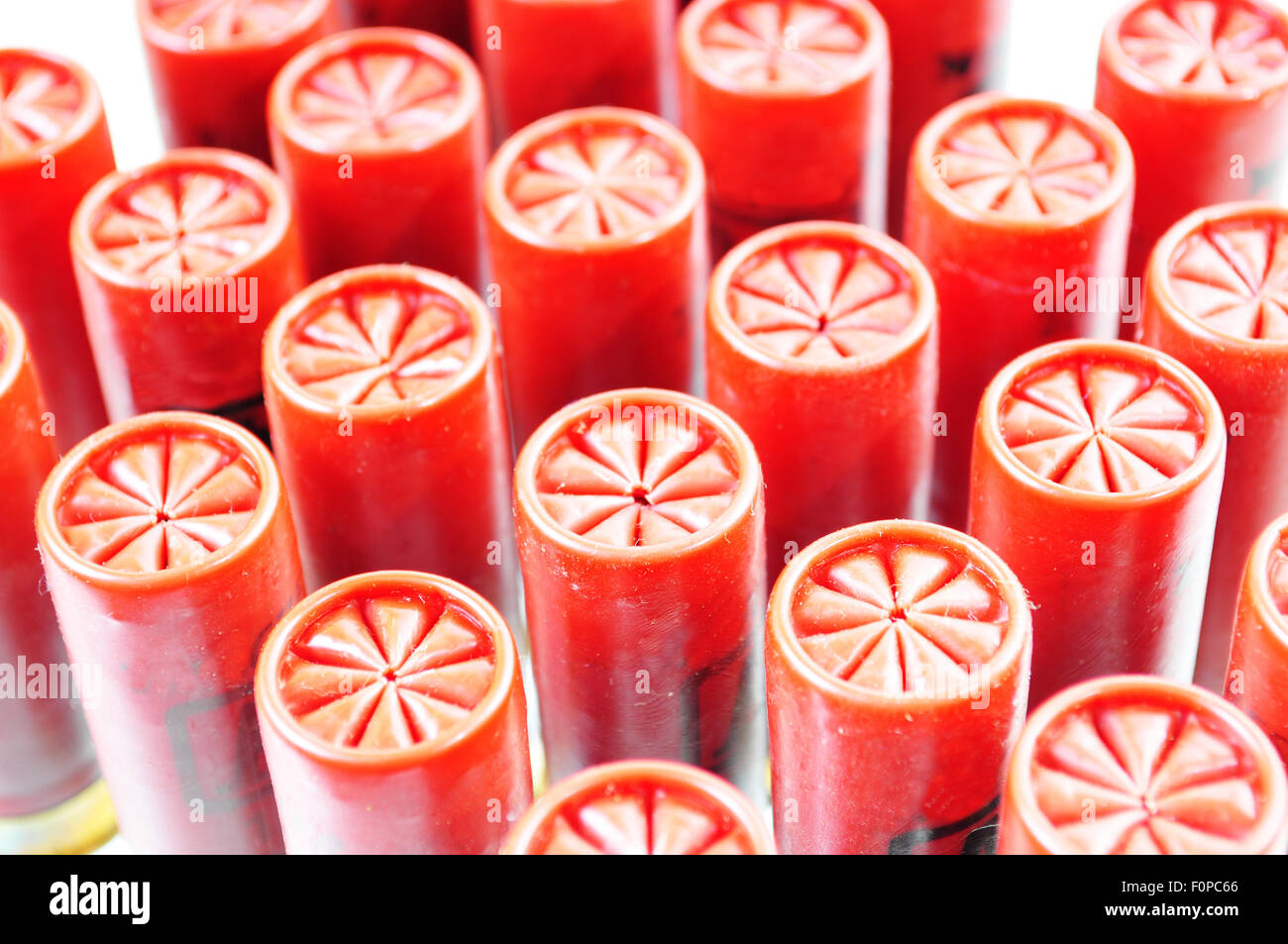 Group of shotgun shells isolated on white Stock Photo Alamy