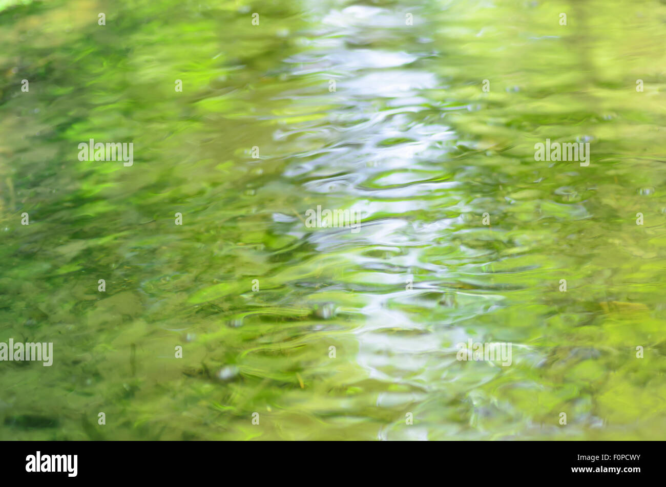 blurred flowing water in forest creek Stock Photo