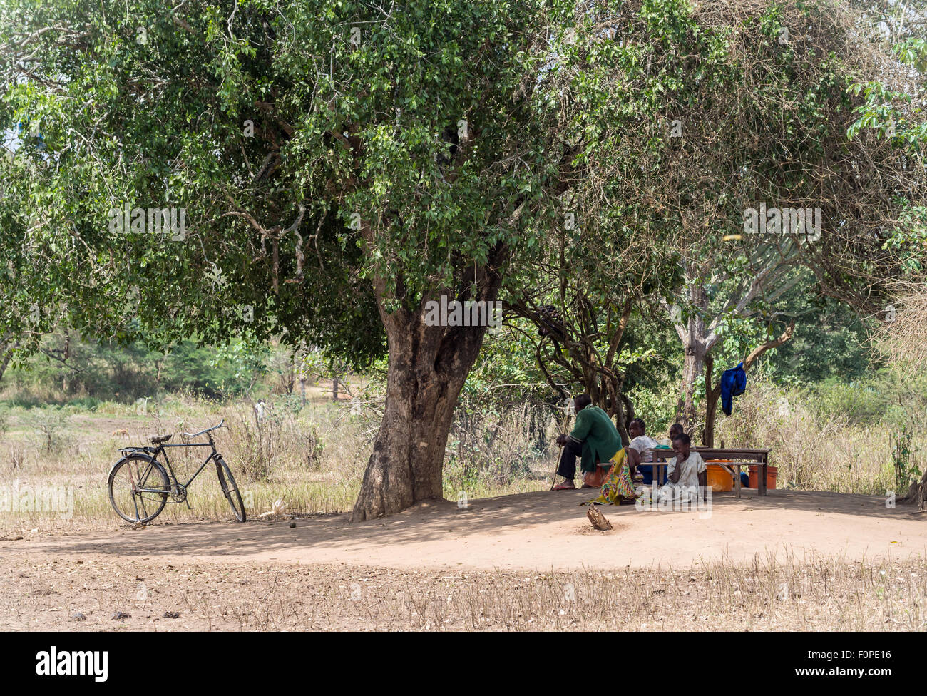 Herders resting under a tree in Tanzania, Africa. Stock Photo