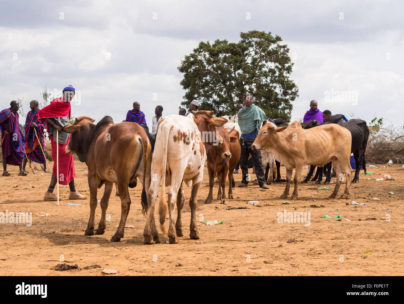 Weekly Saturday cattle Maasai market in Handeni region, Tanzania, Africa. Stock Photo