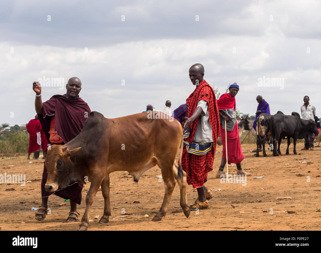 Weekly Saturday cattle Maasai market in Handeni region, Tanzania, Africa. Stock Photo