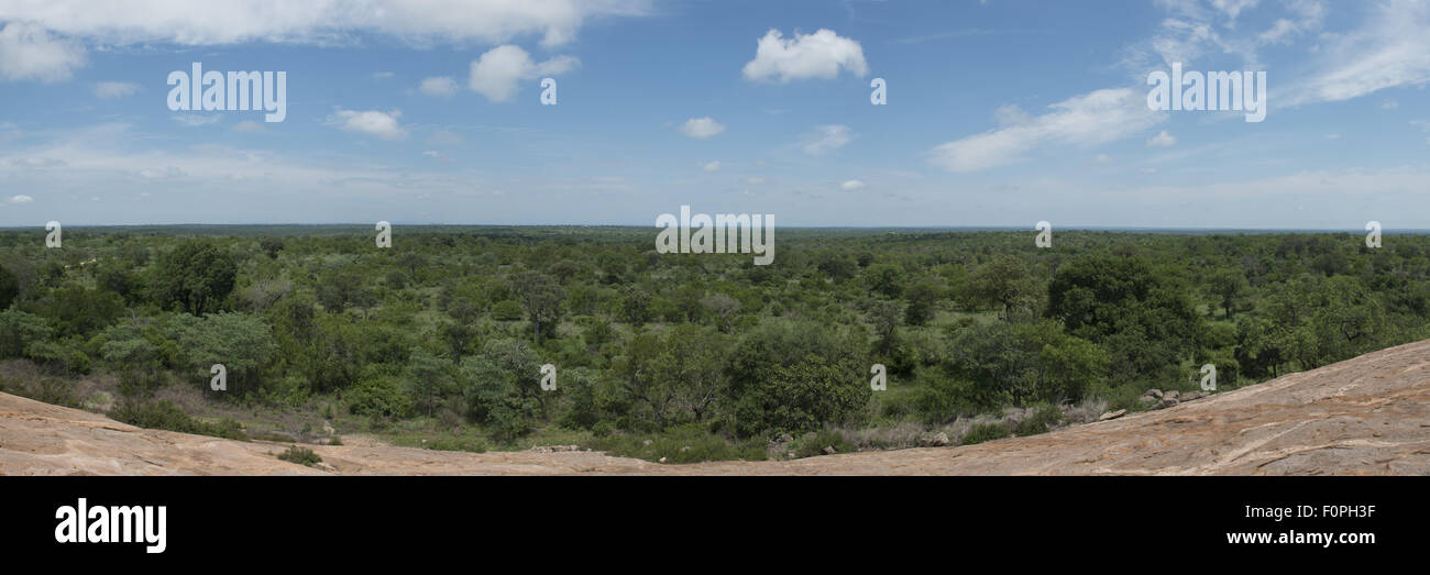Matekenyane view point panorama, Kruger national Park, South Africa Stock Photo