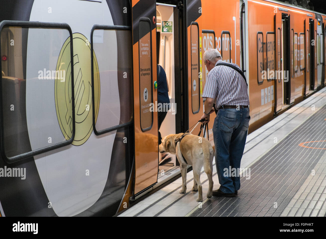 Can Dogs Go On Trains In Spain