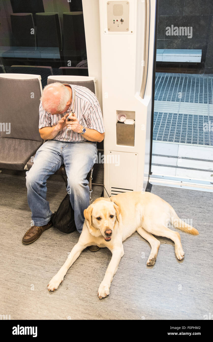 Can Dogs Go On Trains In Spain