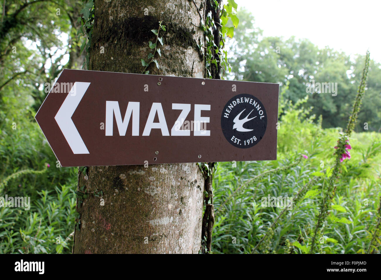 Maze sign, Hendrewennol fruit farm, Bonvilston, Cowbridge, Vale of Glamorgan, Wales. UK Stock Photo