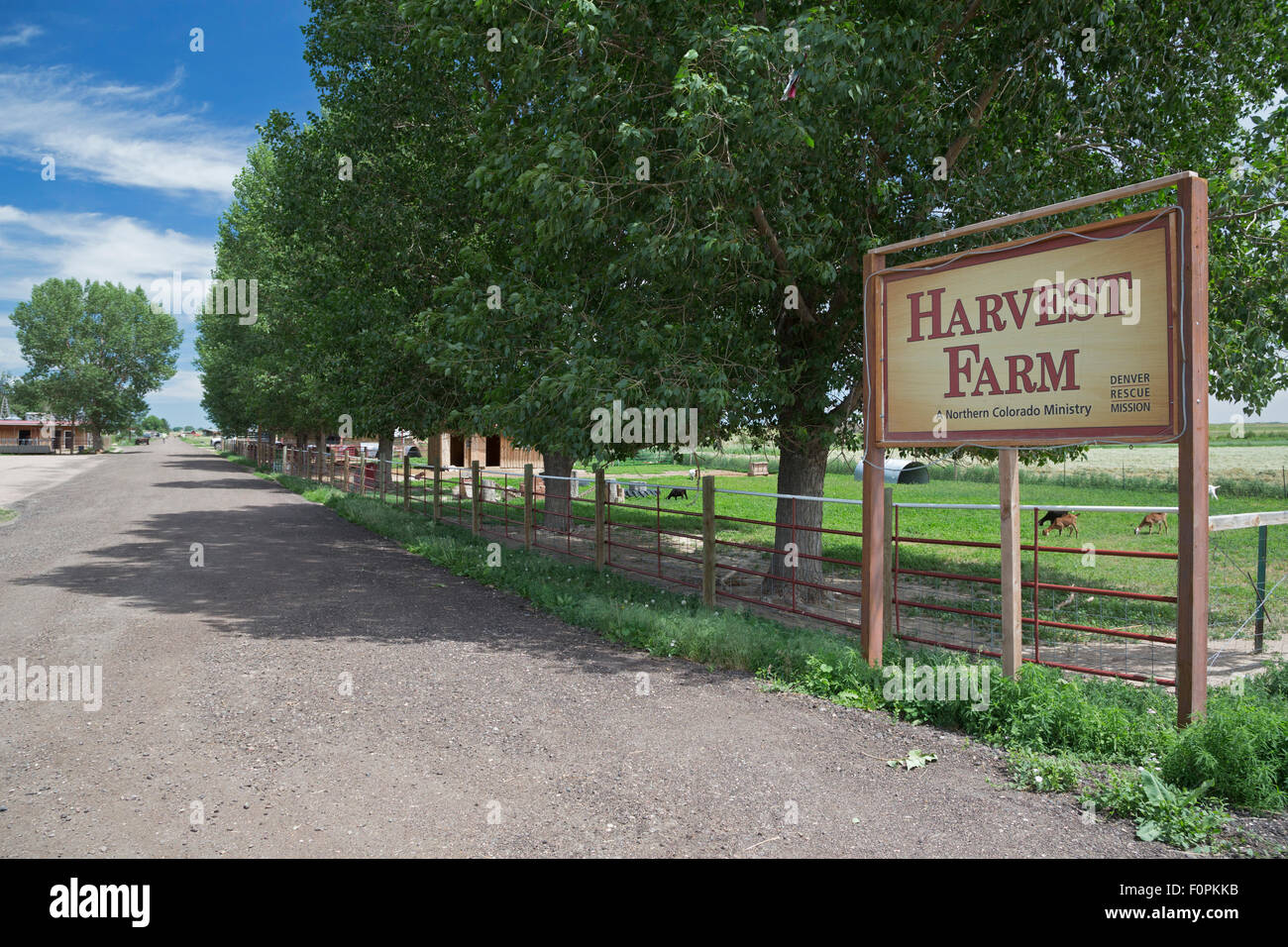 Wellington, Colorado - Harvest Farm, a rehabilitation facility for men recovering from addictions. Stock Photo