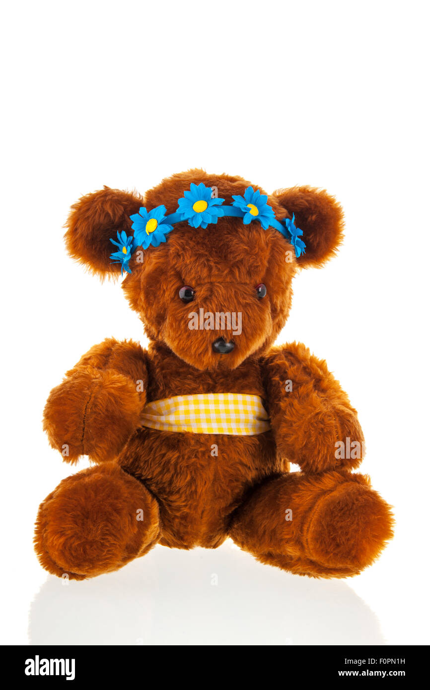 Funny stuffed bear with blue hair dress isolated over white background