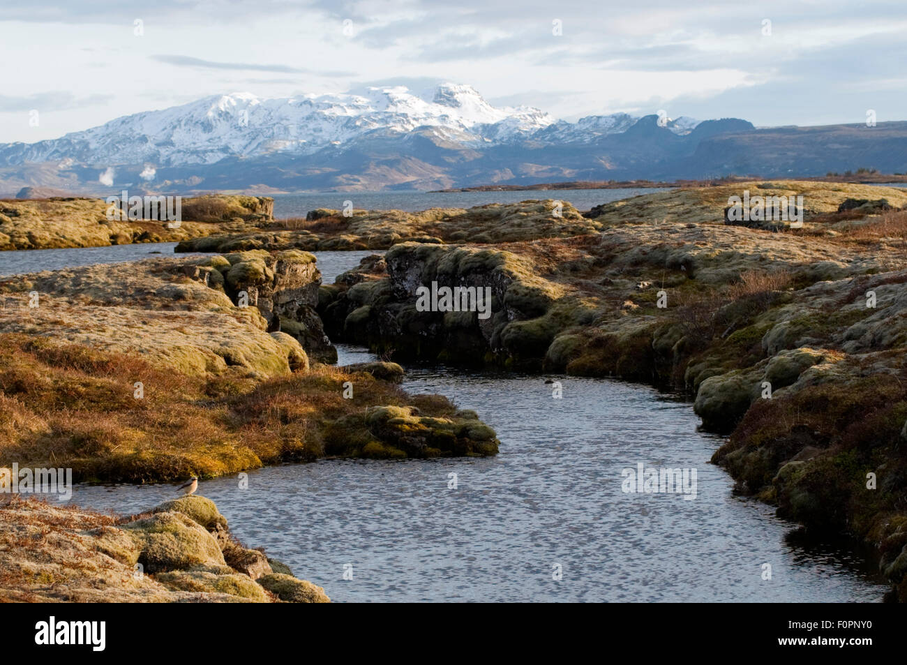 The Silfra crack by Thingvellir lake, Thingvellir National Park, Iceland, May 2009 Stock Photo