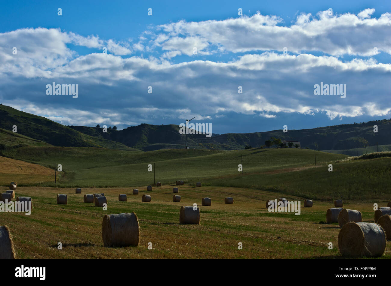 valley of rolls, wheat crops Stock Photo