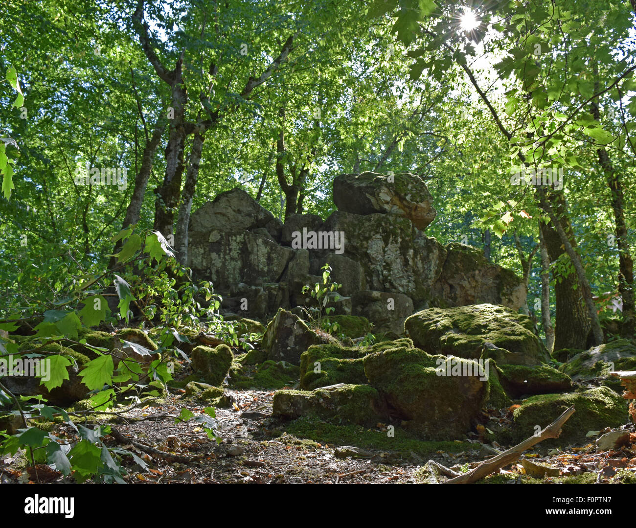 Devil's Finger. The rock damaged by explosion in the woods of Kuban. Stock Photo