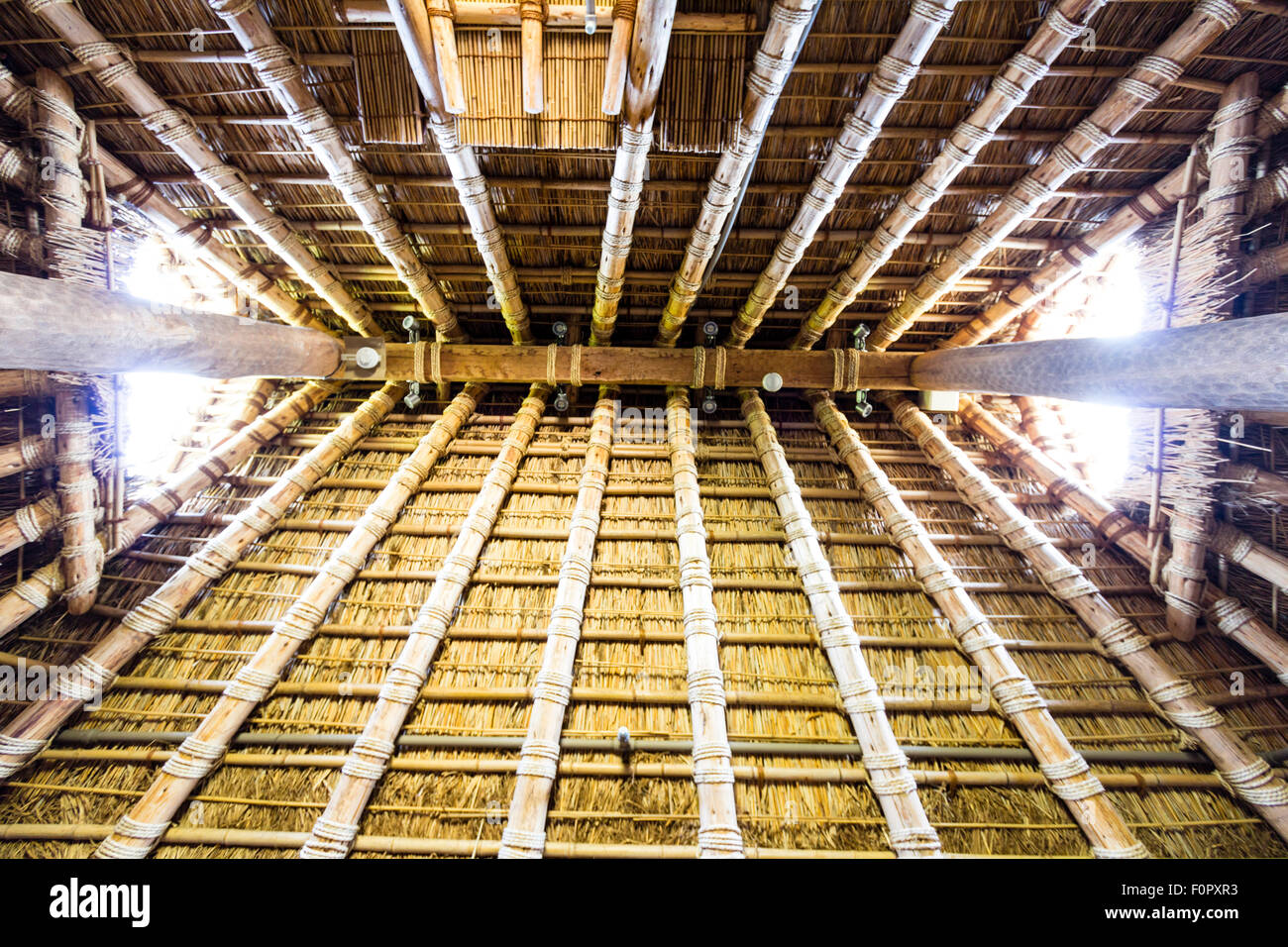 Japan, Yoshinogari iron age Historical Park. Minaminomura, South