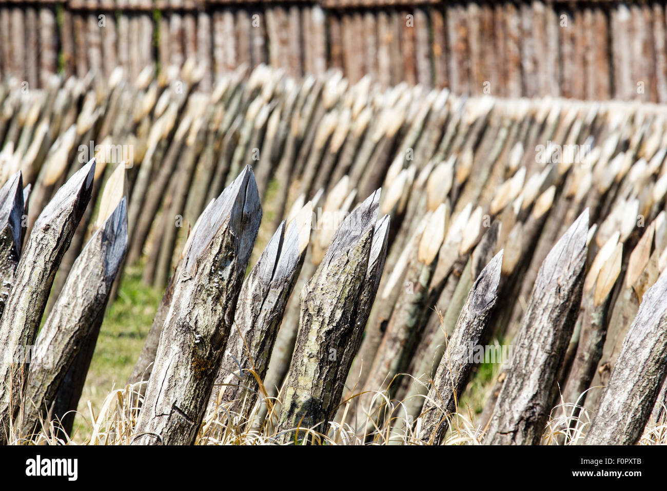 Japan, Yoshinogari Historical Park. Reconstructed iron age settlement. Sharpened stakes in the ground to act as defensive barrier. Selective focus. Stock Photo
