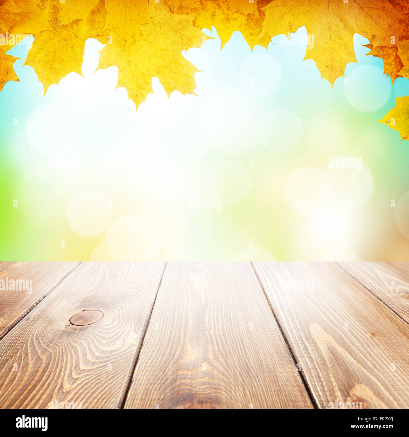 Autumn nature background with maple leaves, wooden table and blurred ...