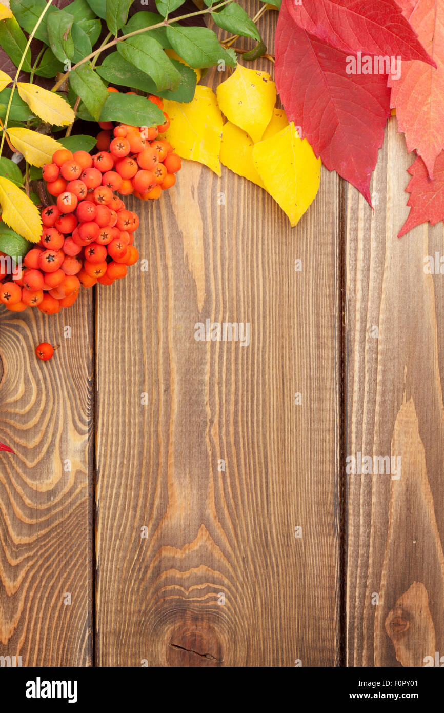 Autumn leaves and rowan berries over wood background with copy space ...