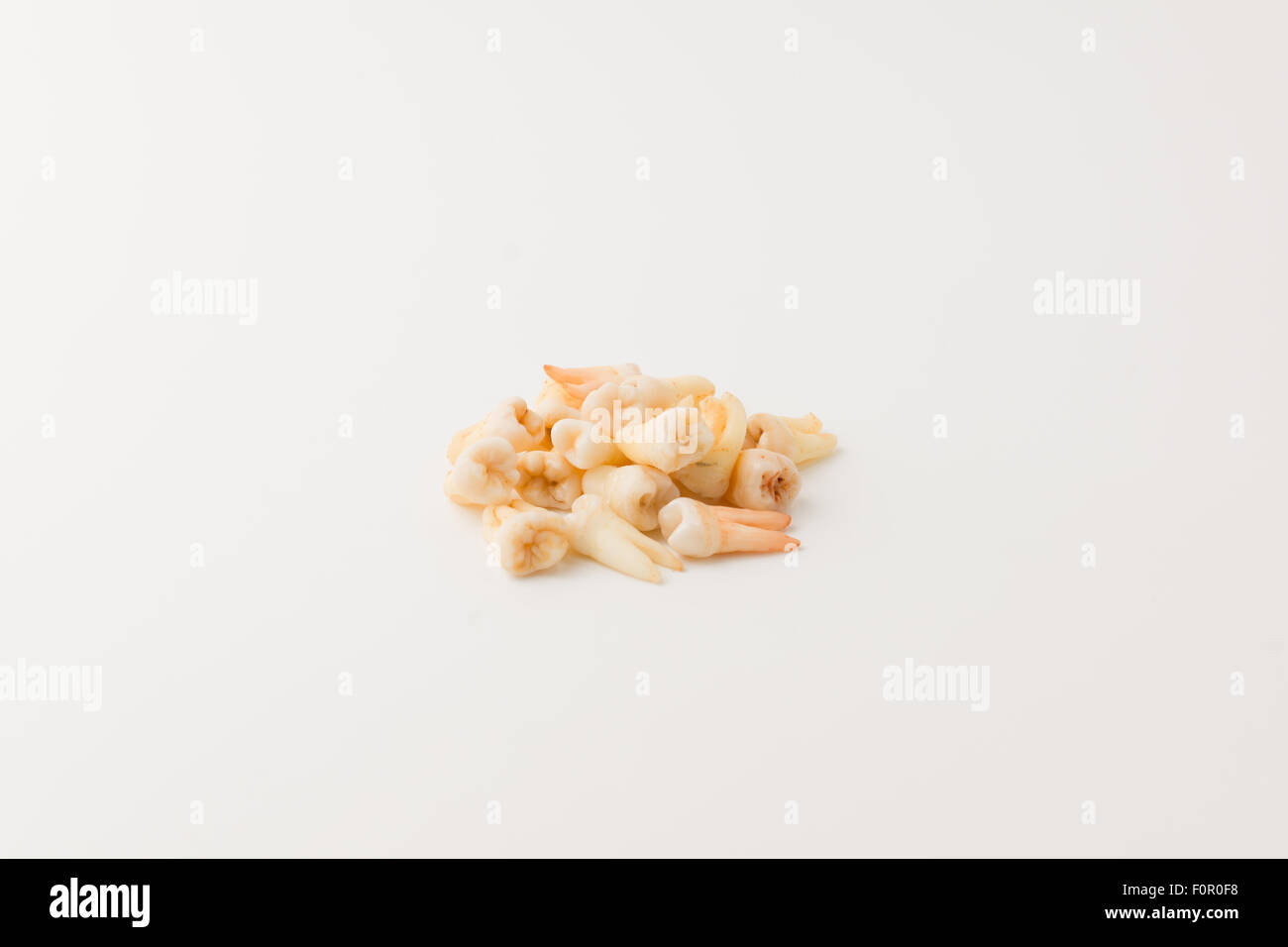 set of the extracted human teeth on a white background Stock Photo
