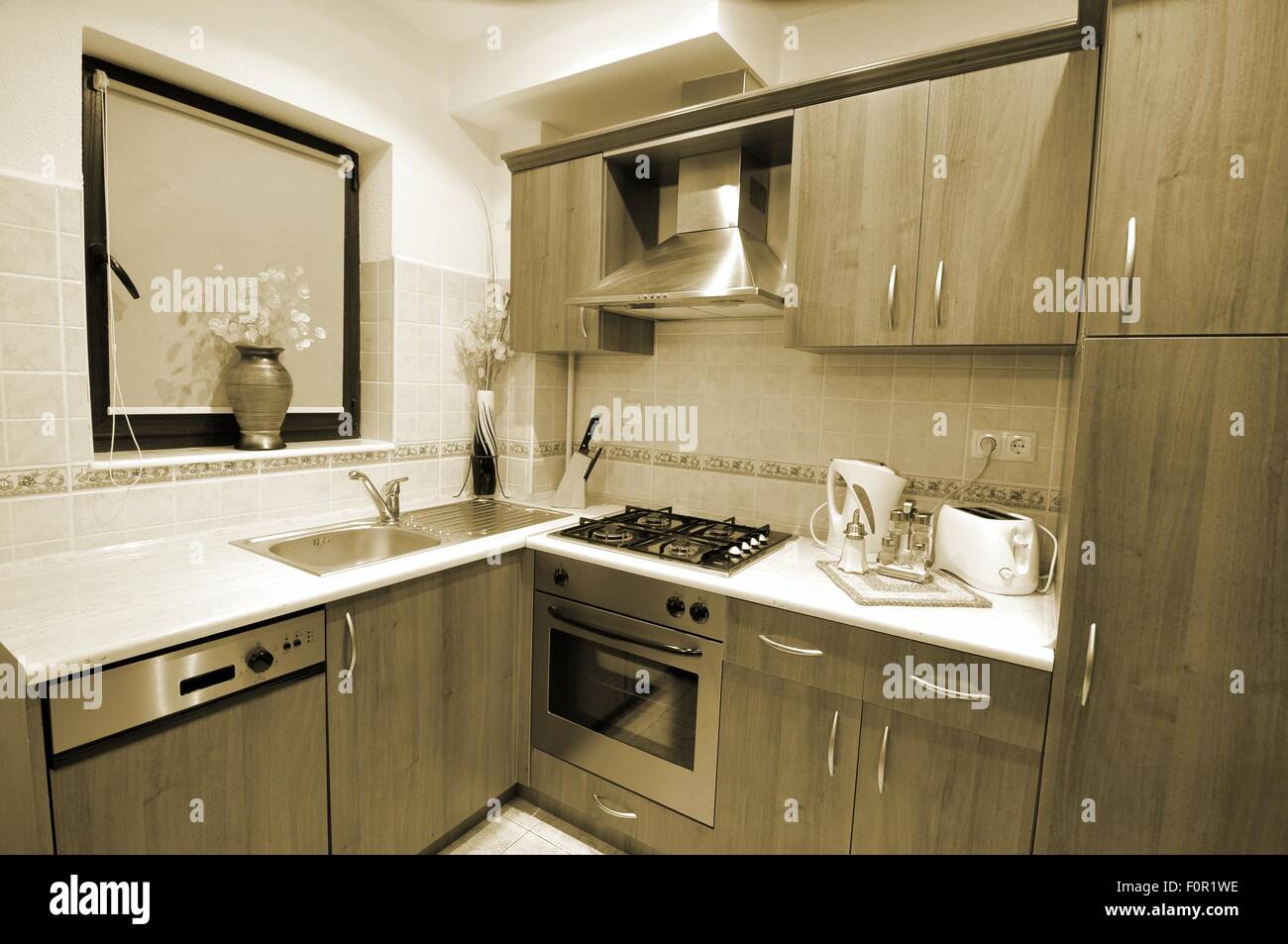 https://c8.alamy.com/comp/F0R1WE/wide-angle-view-of-modern-kitchen-F0R1WE.jpg
