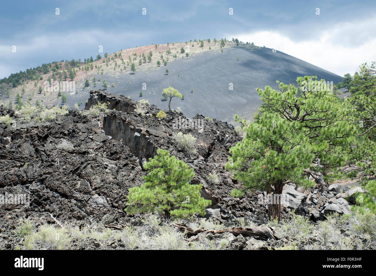 Sunset Crater Volcano National Monument near Flagstaff, Arizona, USA