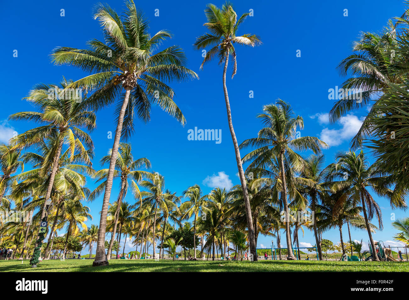 Lummus Park at Miami Beach, Florida Stock Photo