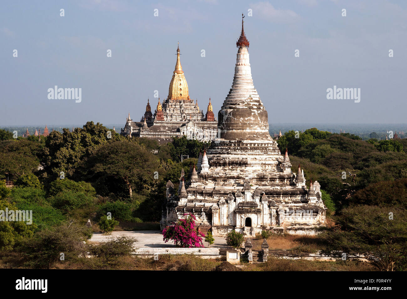 View of pagodas, Ananda temples behind, Bagan, Mandalay Division, Myanmar Stock Photo