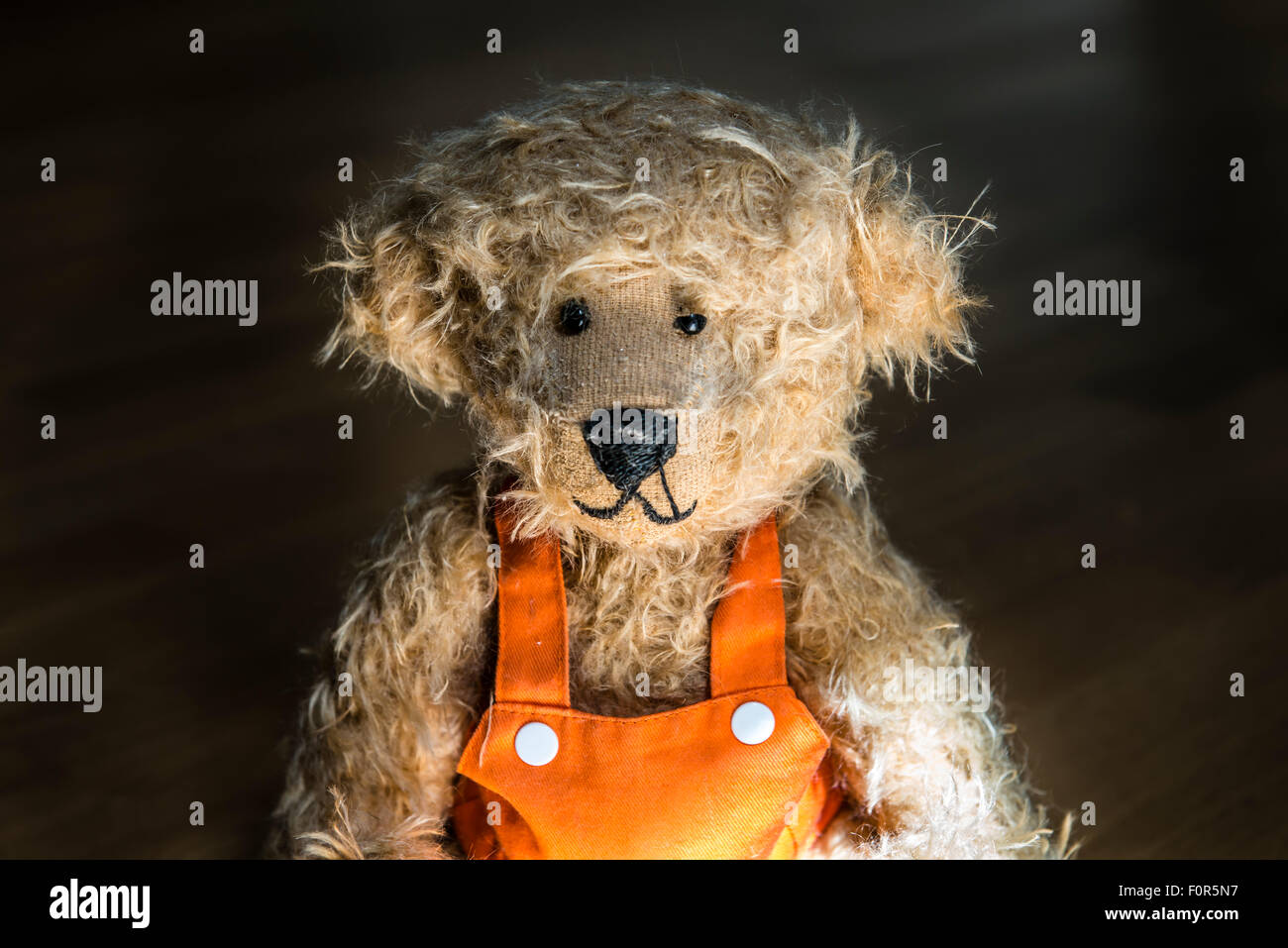 Light brown teddy bear, with orange overalls, portrait against a ...