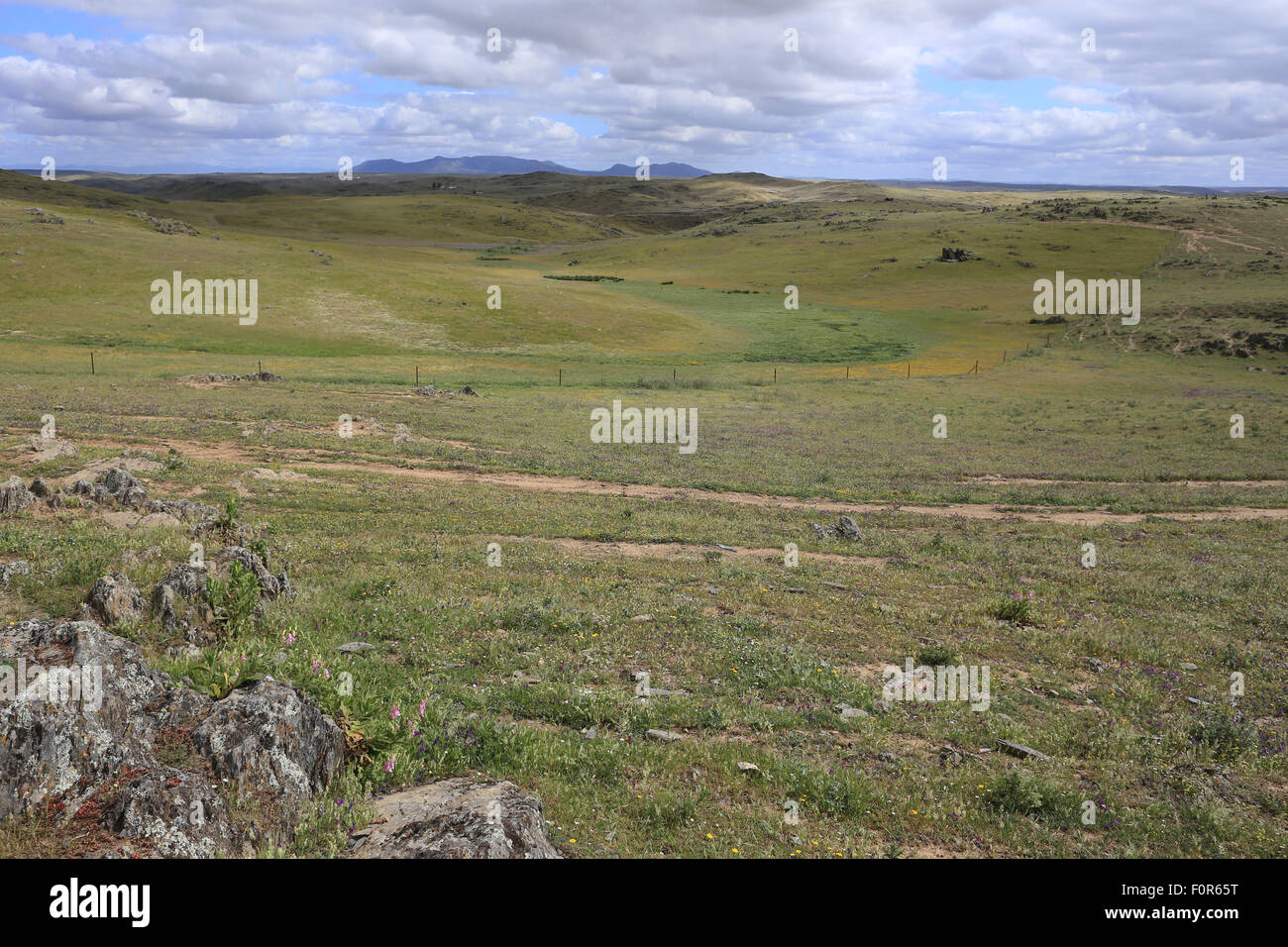 Typical steppe, grassland, of La Serena, Extremadura, Spain. Stock Photo