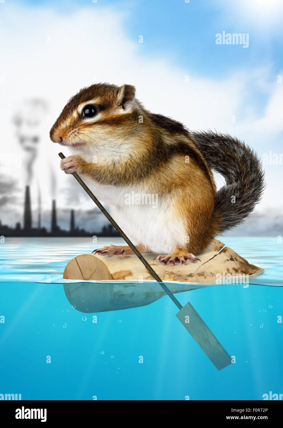 Animal Chipmunk floating away from the city, ecology concept Stock Photo