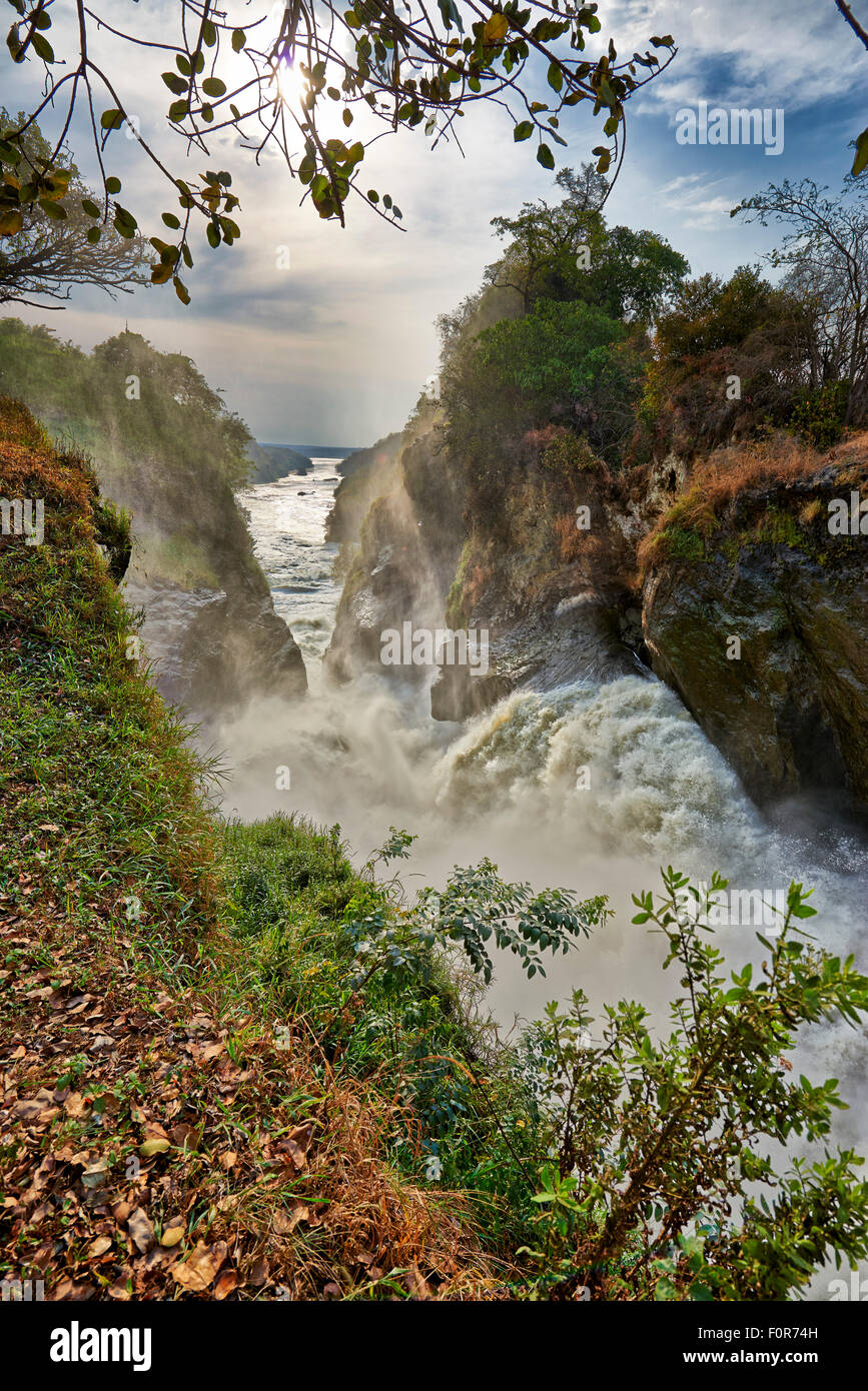 River Nile at Murchison Falls, Murchison Falls National Park, Uganda, Africa Stock Photo