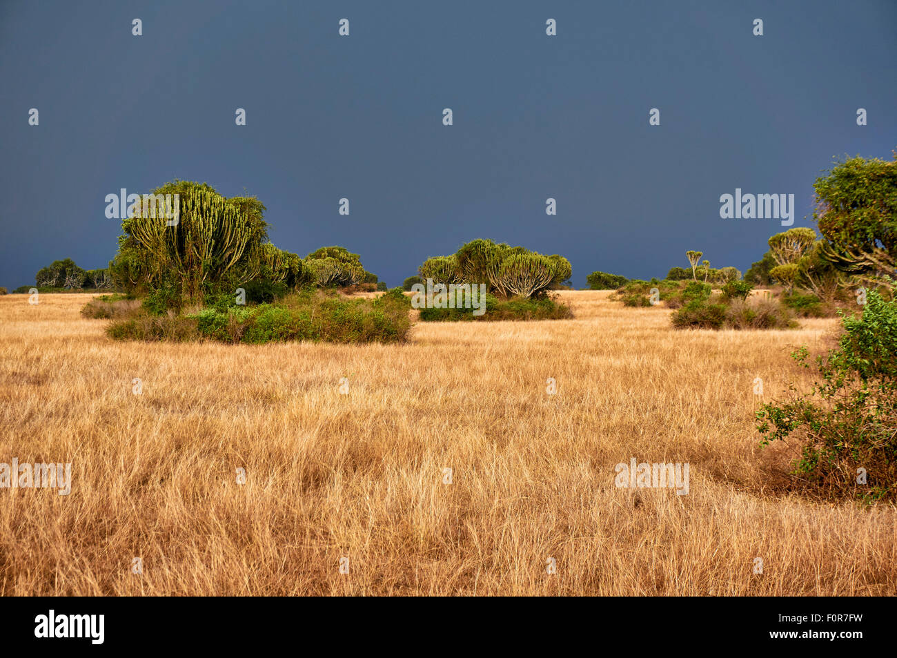 landscape with rain clouds in Queen Elizabeth National Park, Uganda, Africa Stock Photo