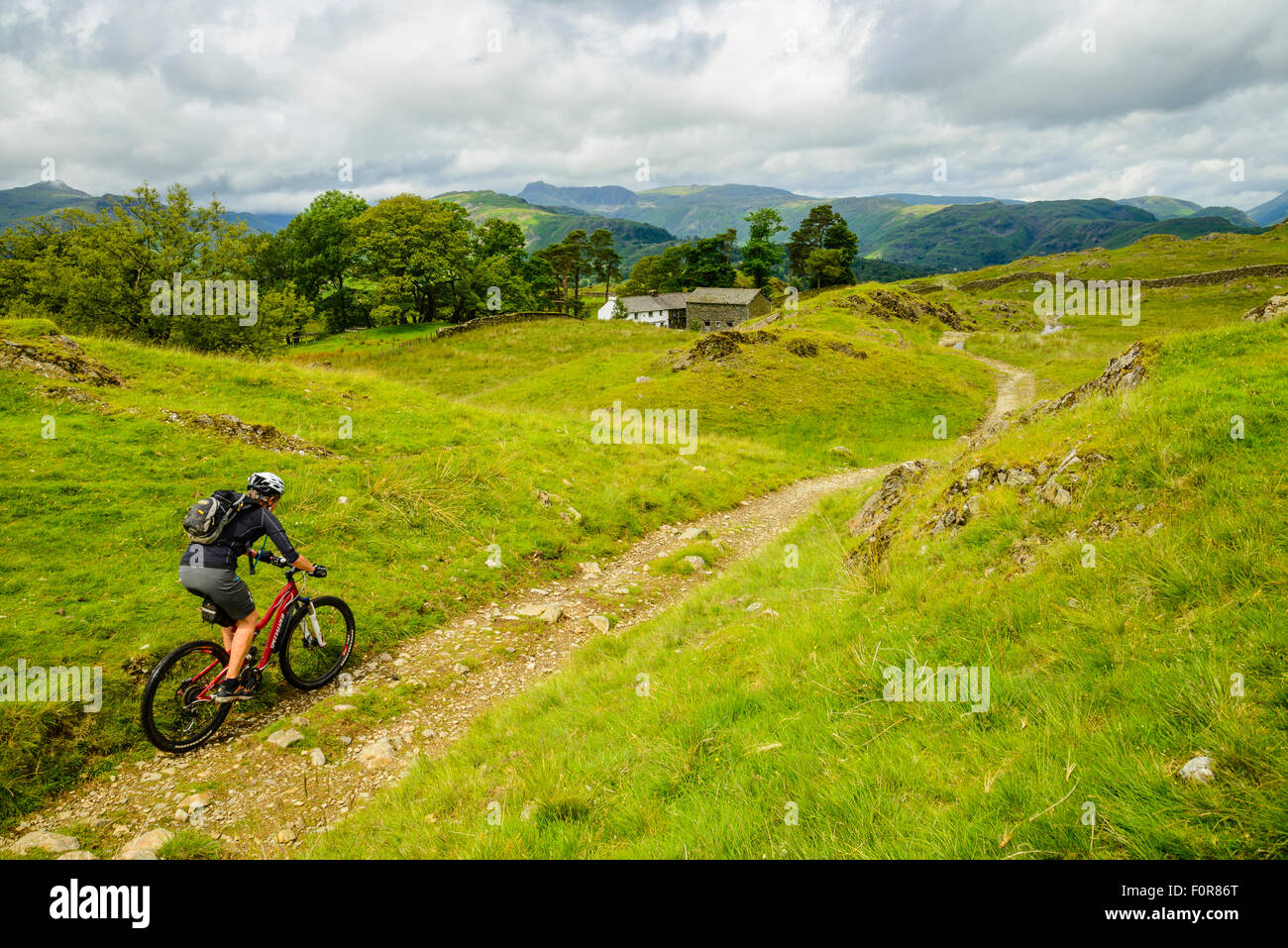 Female mountain biker near Low Arnside in the Lake District with the Langdale Pikes on the skyline Stock Photo