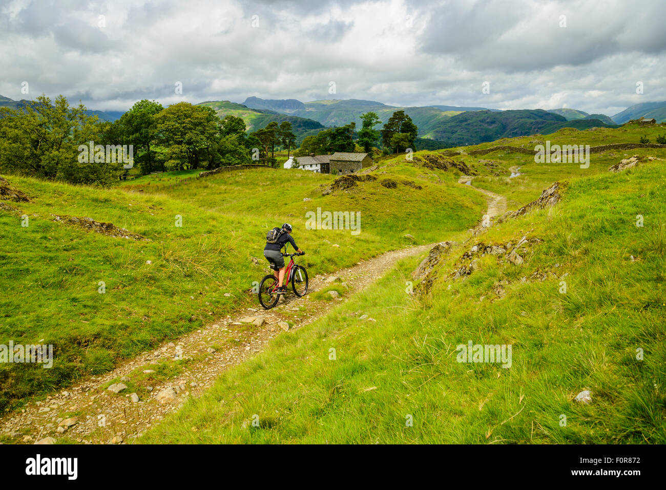 Female mountain biker near Low Arnside in the Lake District with the Langdale Pikes on the skyline Stock Photo