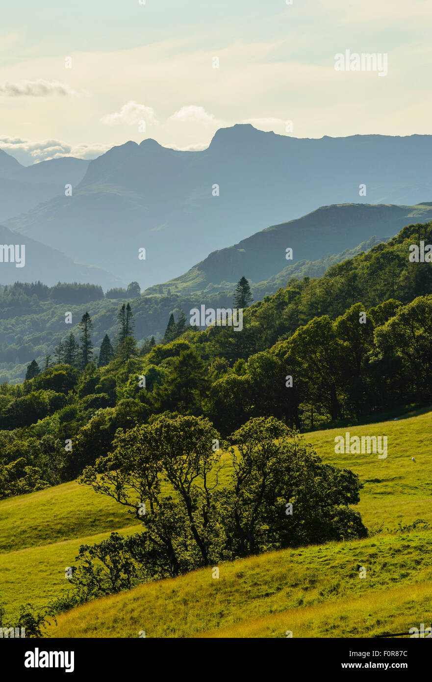 The Langdale Pikes from Skelghyll Lane near Ambleside, Lake District Stock Photo