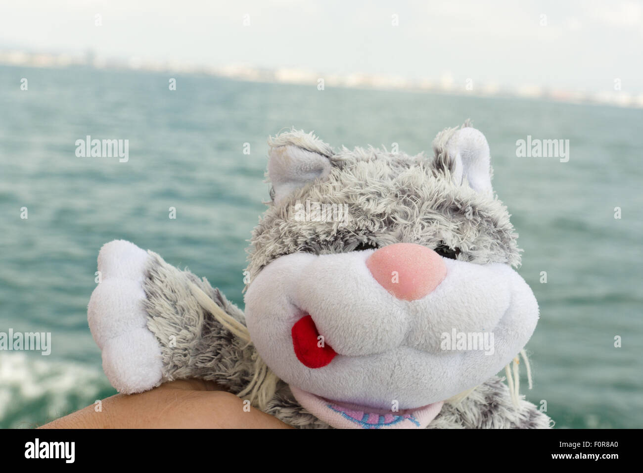 the plush cat travels by a ship by sea Stock Photo