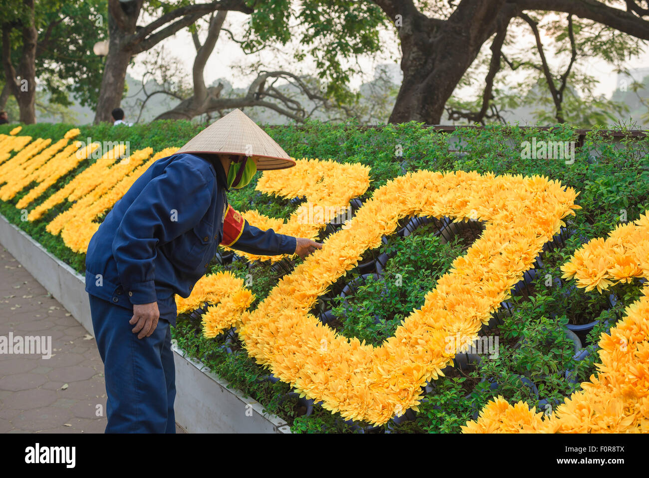 Vietnam woman worker, a female worker in a conical hat puts the finishing touches to a large floral display in the center of Hanoi, Vietnam. Stock Photo