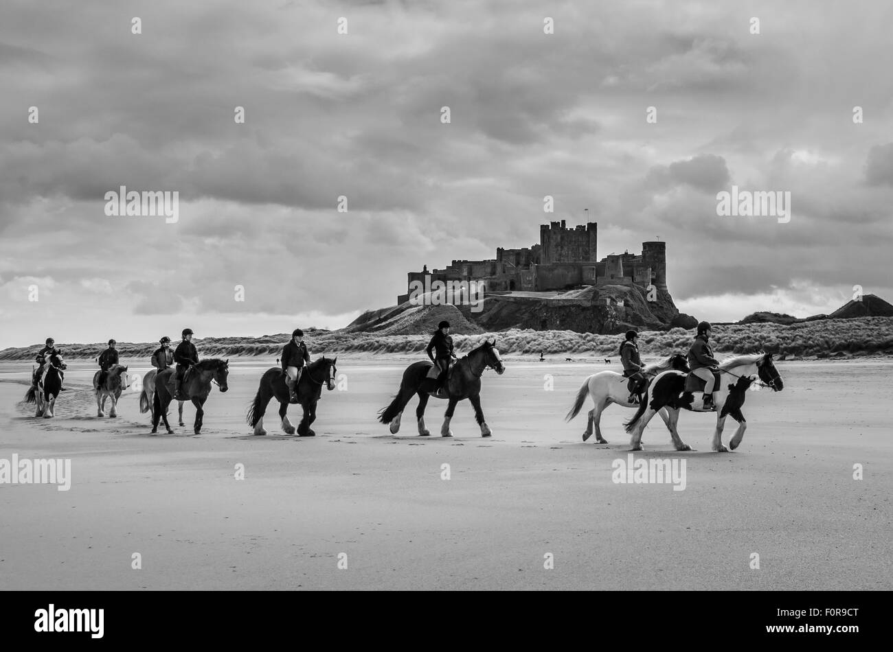 water, heritage, bamburgh castle, horse,architecture, seaside, coastline, fortification, old, dawn, dunes, uk, rocks, english, n Stock Photo