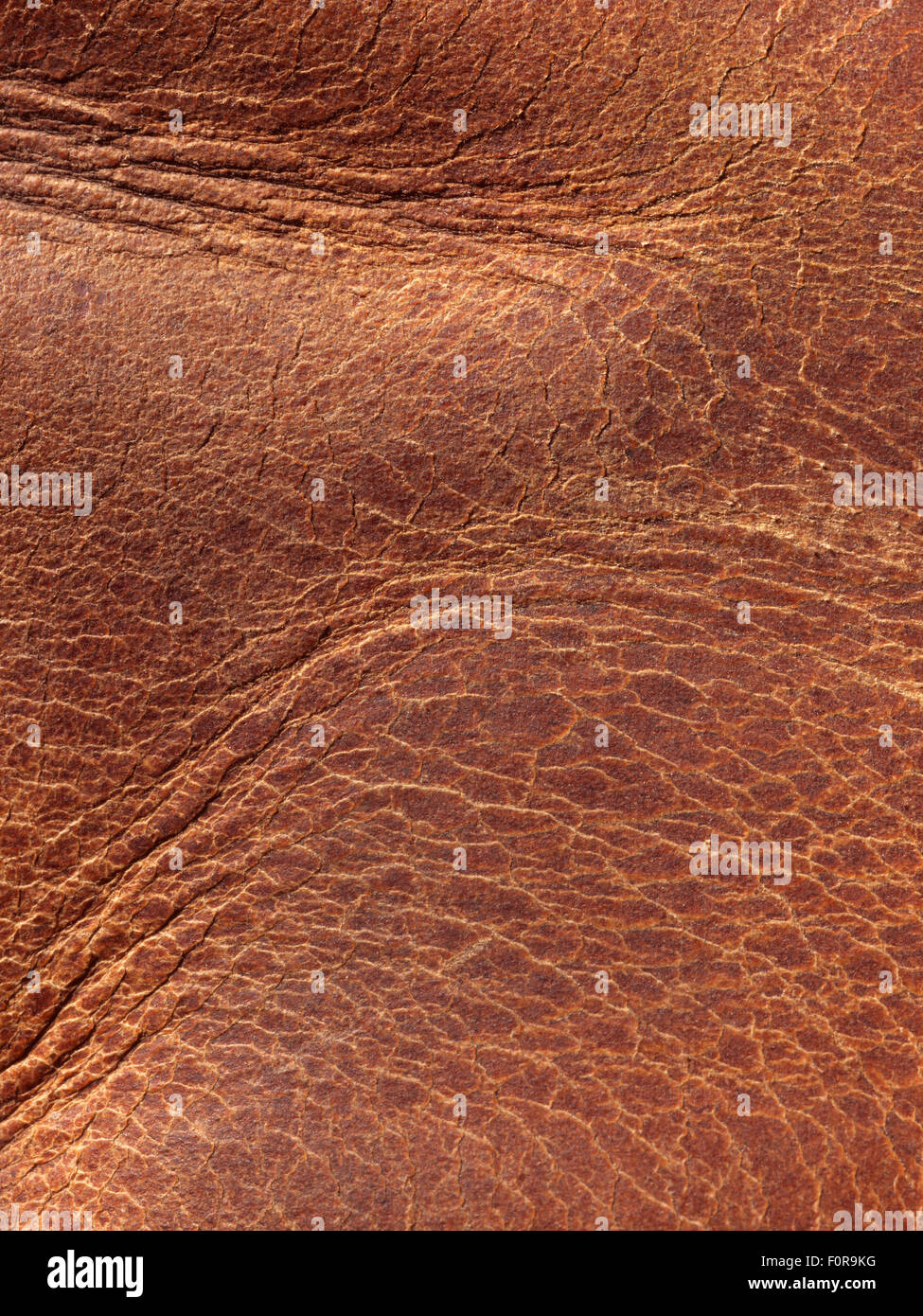 Close up of old leather panel ideal for use as a background Stock Photo