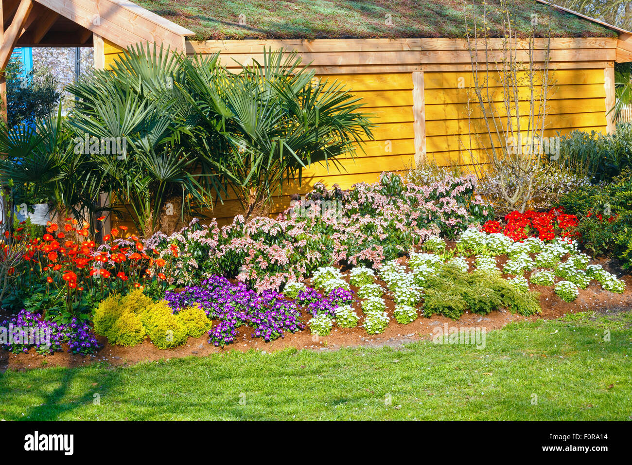 Blossoming varicolored flowerbed near wooden house. Stock Photo