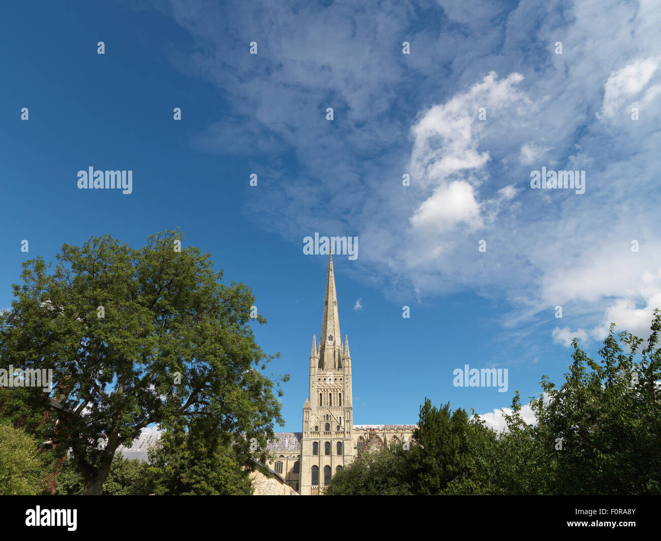 shot of english cathedral in summer with areas of sky good for copy Stock Photo