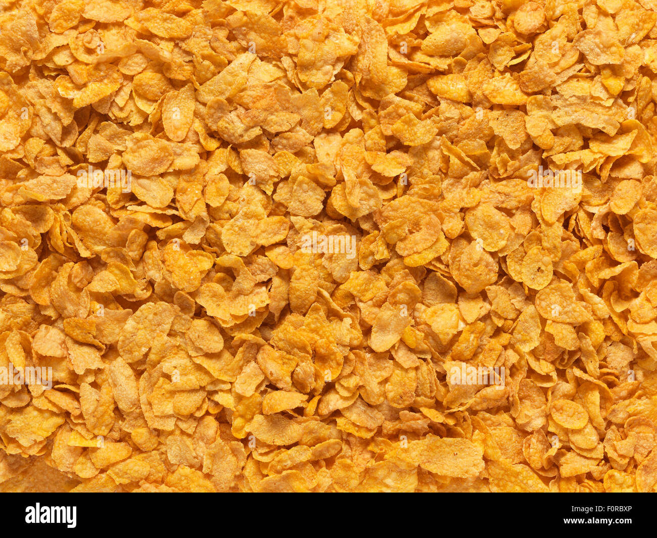 close up, full frame, shot of corn flaked breakfast cereal ideal for use a background imge Stock Photo