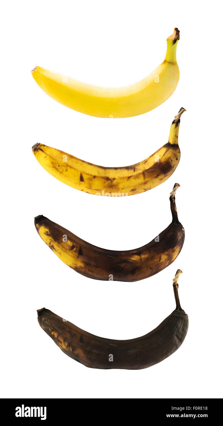 Rotten row Cut Out Stock Images & Pictures Alamy