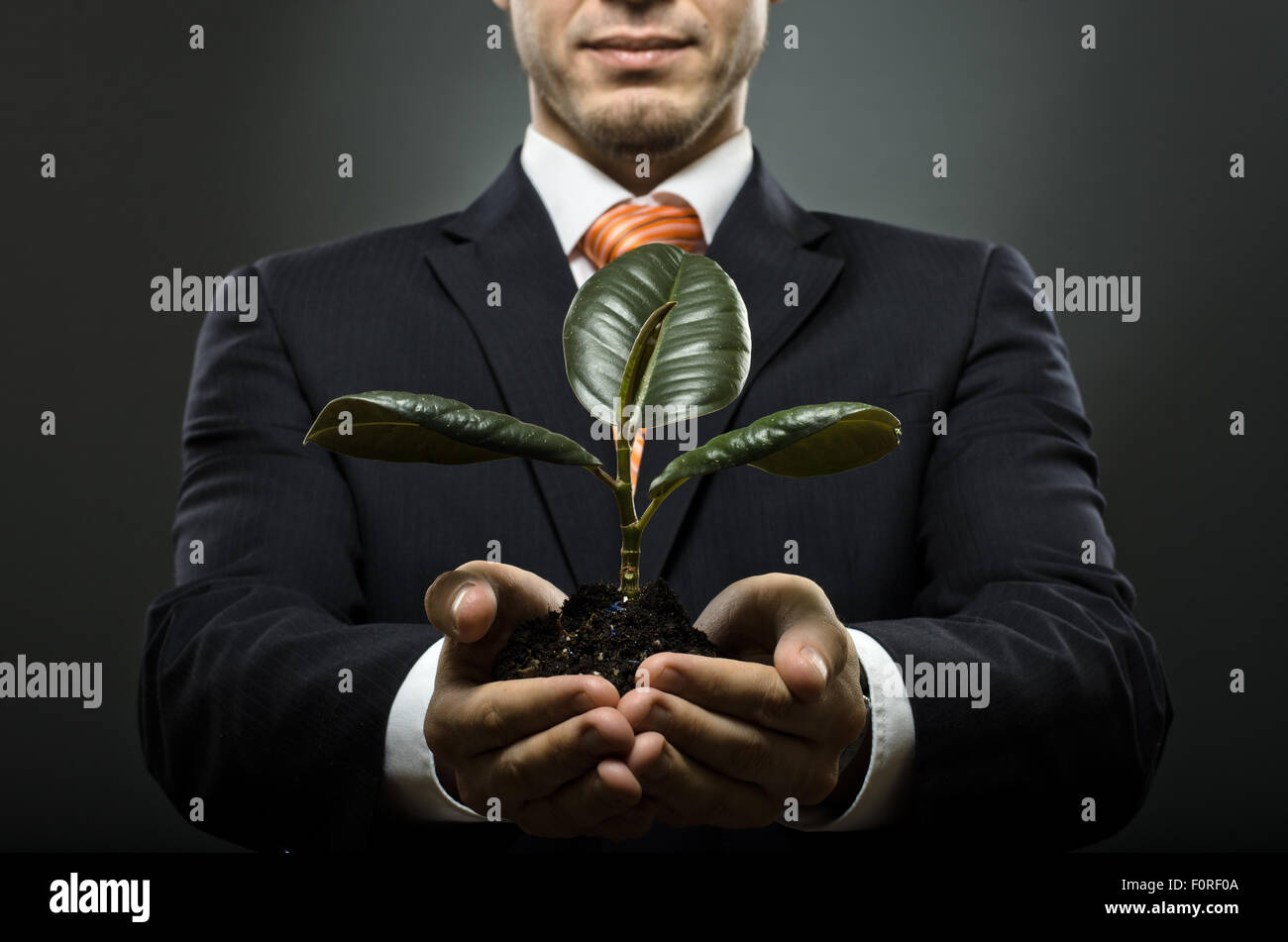 human hands  close  with  scion  rubber plant, business concept Stock Photo