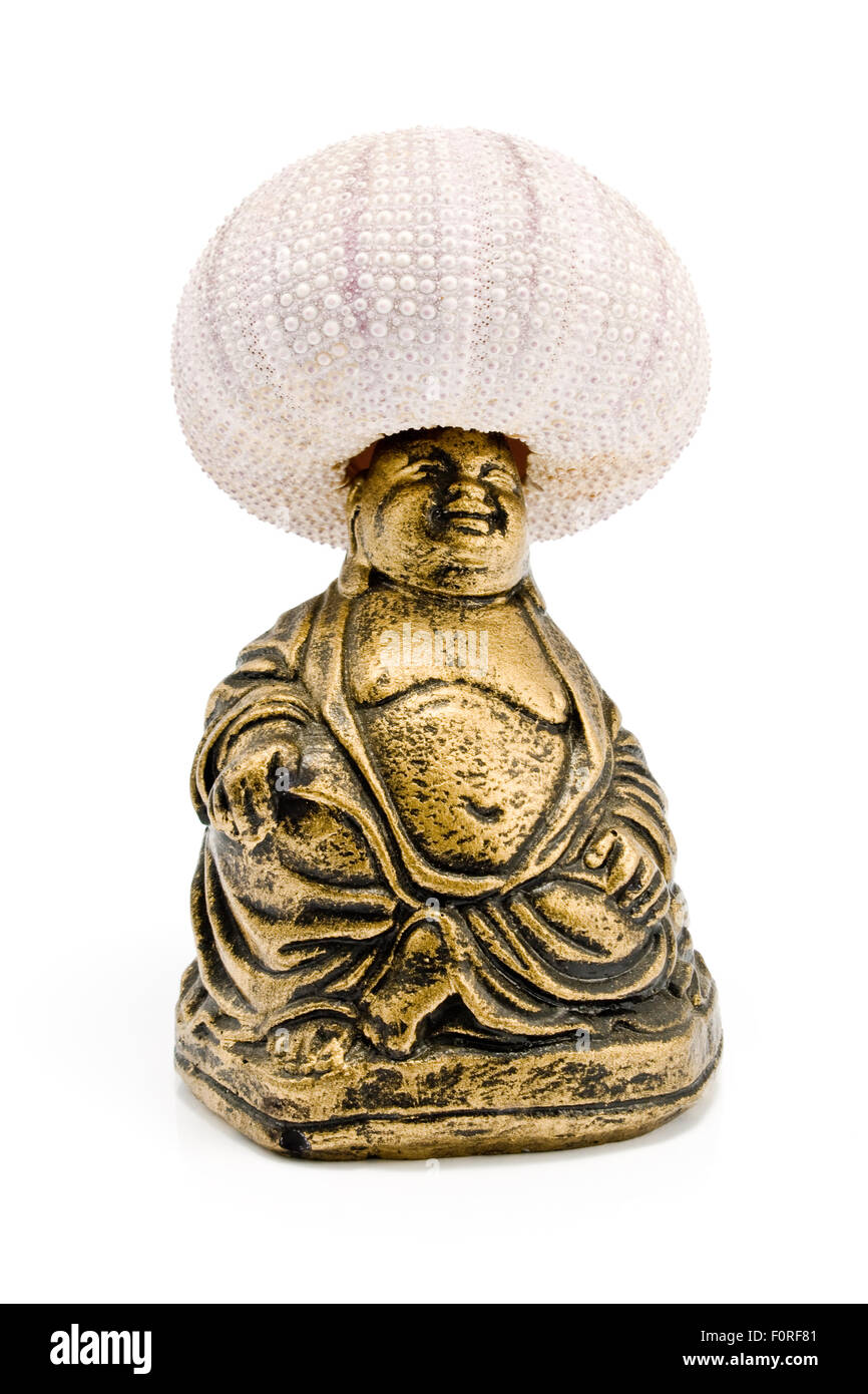 Smiling Buddah with sea urchin oh his head isolated on white Stock Photo