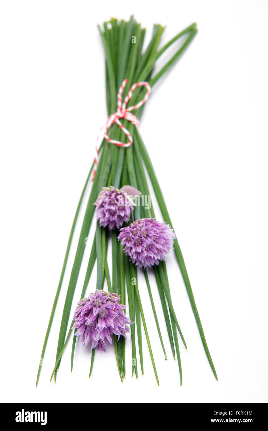 Chives with flowers isolated on white background Stock Photo Alamy